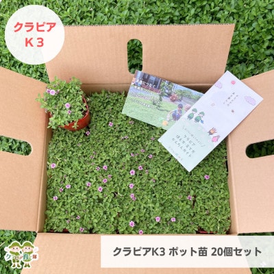 グランドカバー植物「クラピアK3」ポット苗20ポットセット【お申込書返信後、ご希望日に合わせて発送】
