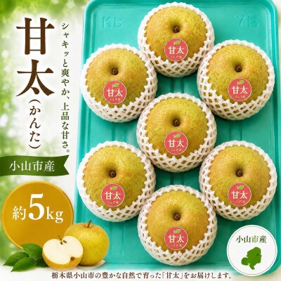 曽篠梨園の甘太梨　約5kg　12〜7玉