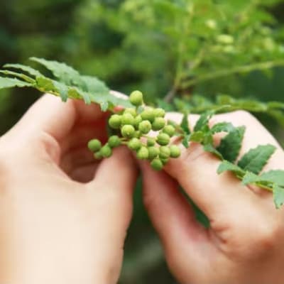 STORK VALLEY JAPAN PREMIUM GIN(ジン)　栃木県小山市　200ml×1本