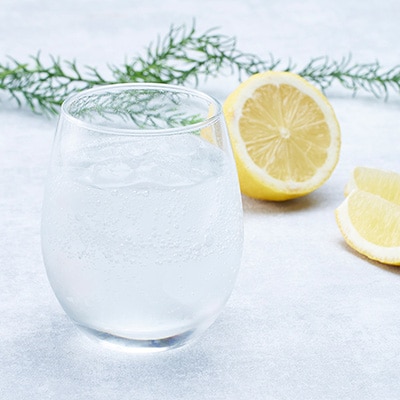 STORK VALLEY JAPAN PREMIUM GIN(ジン)　栃木県小山市　200ml×1本