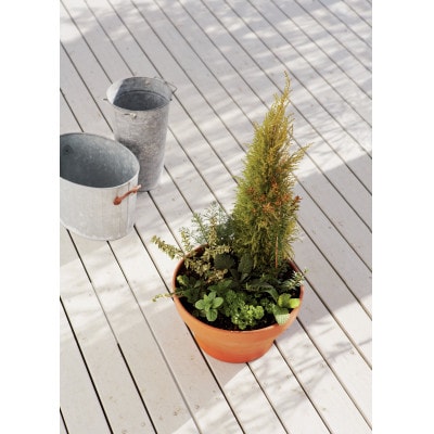 ハーブ寄せ植え