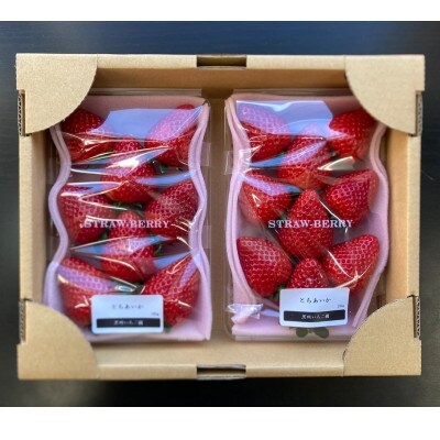 とちあいか 2パックセット計560g