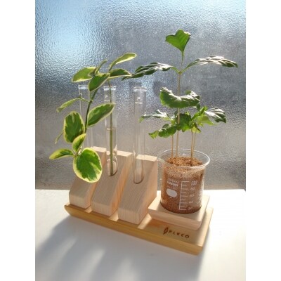 Laboratory Magnet System Colab<コラボ> A