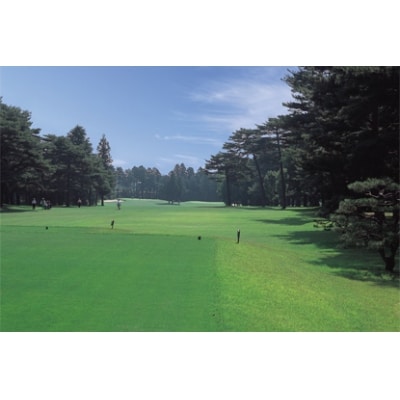飯能ゴルフクラブ 平日1日ラウンド利用券 1名様分(昼食付)
