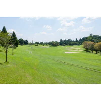 飯能グリーンカントリークラブ(1名様) 平日ゴルフプレー券(1ラウンド・キャディ昼食付) | ふるさと納税のお礼品