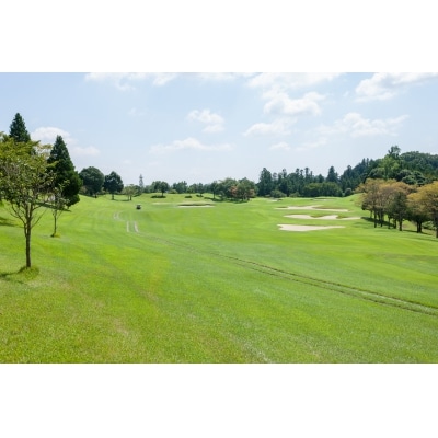 飯能グリーンカントリークラブ 平日ゴルフプレー券(1名様)+同伴者優待セット