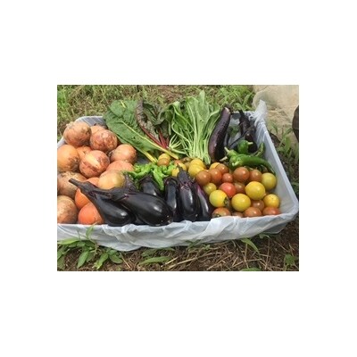 飯能産野菜収穫体験 固定種野菜ほか お礼品詳細 ふるさと納税なら さとふる