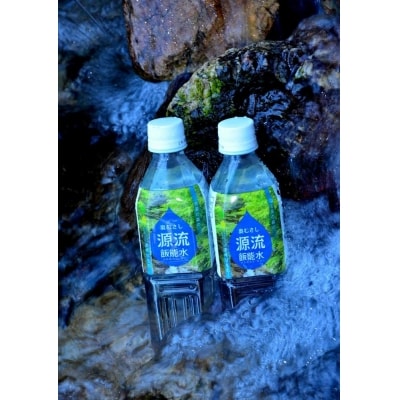 飯能水(24本入り)