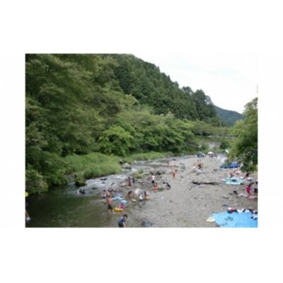 バーベキュースポット 名栗川 さつき 利用サービス券