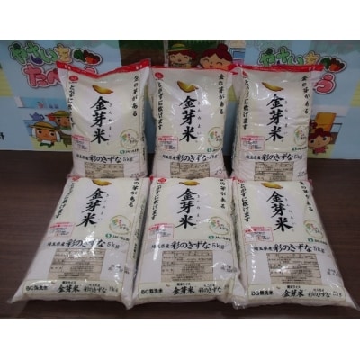【定期便】埼玉県産 金芽米(彩のきずな) 5kg×6ヶ月分[52210916]