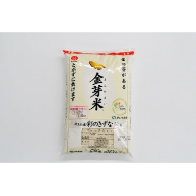 【定期便】埼玉県産 金芽米(彩のきずな) 5kg×6ヶ月分[52210916]