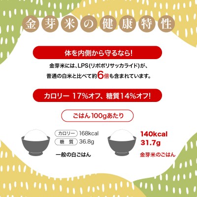 【定期便】埼玉県産 金芽米(彩のきずな) 5kg×6ヶ月分