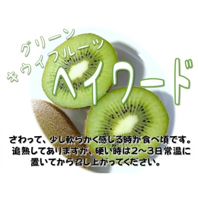山下果樹園のキウイフルーツ【ヘイワード】4kg[52210463]