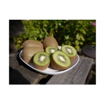 }LmL̃LECt[cywC[hz4kg[52210462]