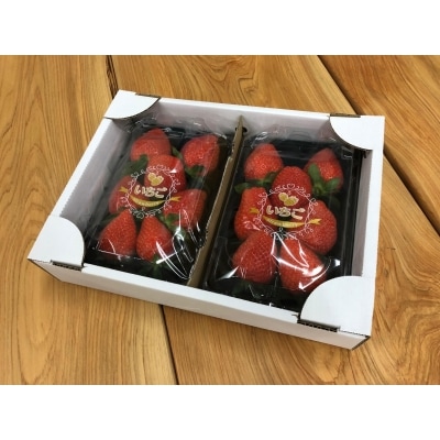 いちご大粒パックおまかせセット[52210514]