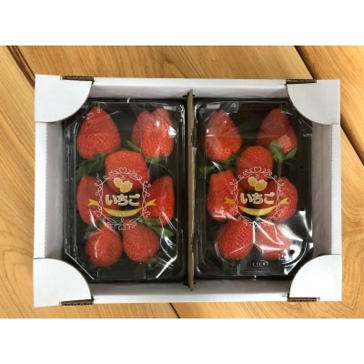 いちご大粒パックおまかせセット[52210514]
