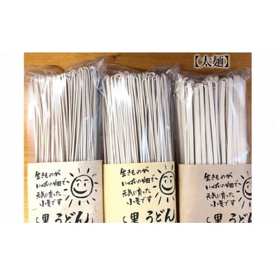 自然豊かな奥武蔵で育った小麦で作ったうどん(乾麺)【太麺】