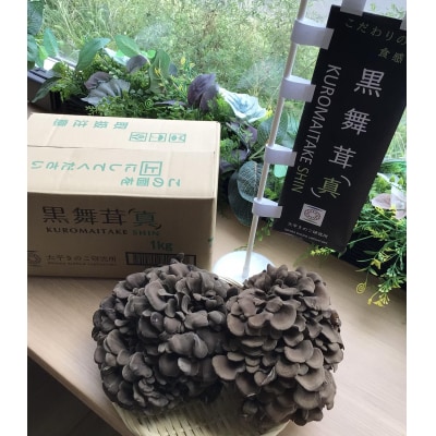 黒舞茸「真」 1kg