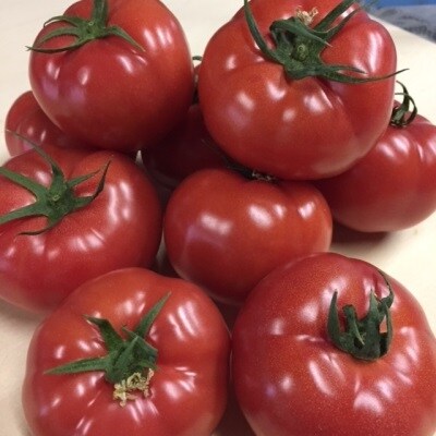 【完熟とまとの新井園】桃太郎トマト 2kg