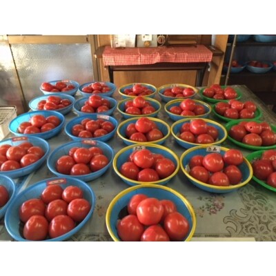 【完熟とまとの新井園】桃太郎トマト 2kg[52210248]