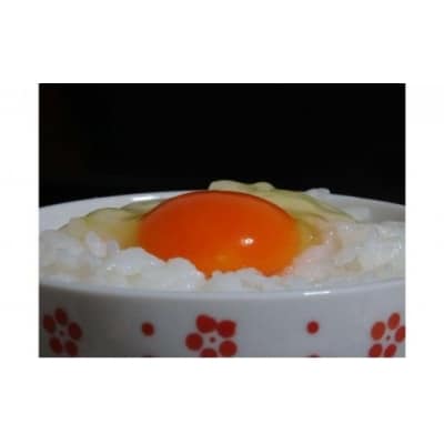 ≪飯能産≫放し飼いたまご 20個[52210675]