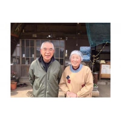 ≪飯能産≫放し飼いたまご 20個(夏季)[52210676]