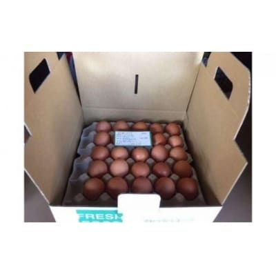 ≪飯能産≫放し飼いたまご 50個(夏季)[52210678]
