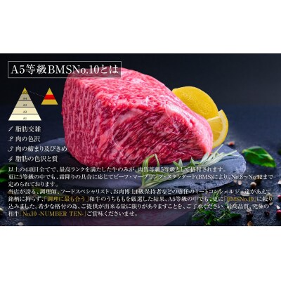 A5等級 BMSNo.10限定 黒毛和牛もも塊肉 ブロック 1㎏セット