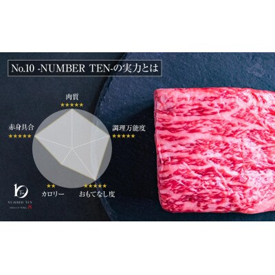A5等級 BMSNo.10限定 黒毛和牛もも塊肉 ブロック 500g
