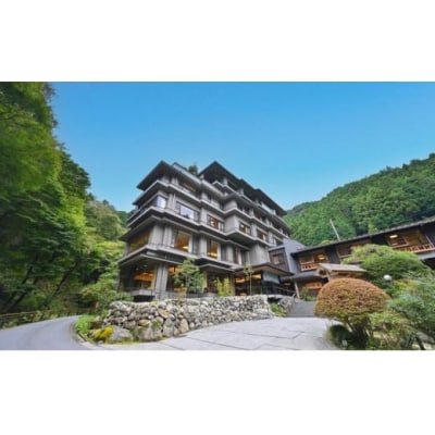 【名栗温泉 大松閣】温泉内湯付き特別室1泊2食付ペア宿泊券