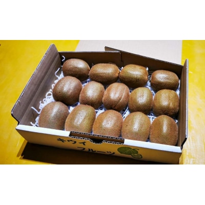 山下果樹園のキウイフルーツ【ヘイワード】2kg[52210923]