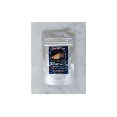 メダカ「紅灯系白虎(べにあかりけいびゃっこ)」5匹セット