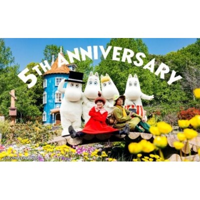 ムーミンバレーパーク チケット6枚セット 青白く