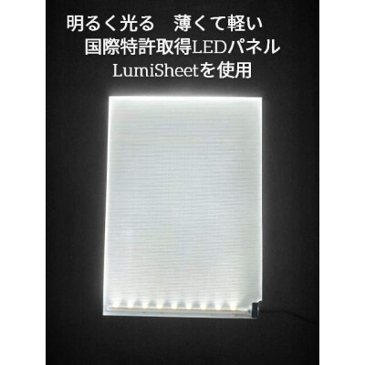 写光Shapica(シャピカ)Lサイズ　西川材フレーム　USB接続 