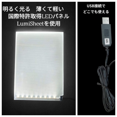 写光Shapica(シャピカ)Lサイズ西川材フレーム 1枚板タイプUSB接続 