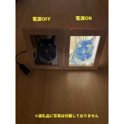 写光Shapica(シャピカ)Lサイズ西川材フレーム 1枚板タイプUSB接続 [52210979]