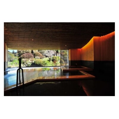 【名栗温泉大松閣】施設利用券30,000円分