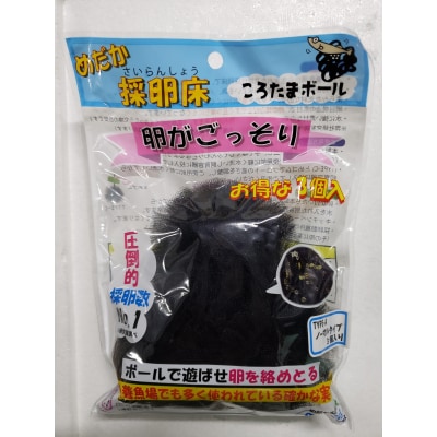 メダカ「エメキン」4匹セット