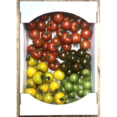 季節のミディトマト(約3kg)