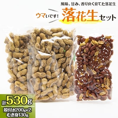 落花生セット 殻付き0g 2 むき身130g 1 お礼品詳細 ふるさと納税なら さとふる
