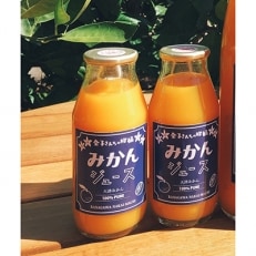 神奈川県中井町産 大津みかんジュース 180ml×10本セット