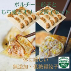 中井町の恵み無添加・低糖質餃子【ポルチーニ】と【もち麦とオリーブ】セット【48個】 笑顔の餃子