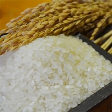 【令和4年産】さがびより　佐賀県鹿島産　白米　30kg