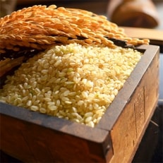 【令和4年産】(真空パック)厳選さがびより　玄米　5kg×3 『特A』佐賀県鹿島産