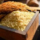 【令和5年産】さがびより　佐賀県鹿島産　玄米　30kg