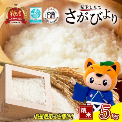 新米【令和7年産】佐賀県産 さがびより 白米 5kg