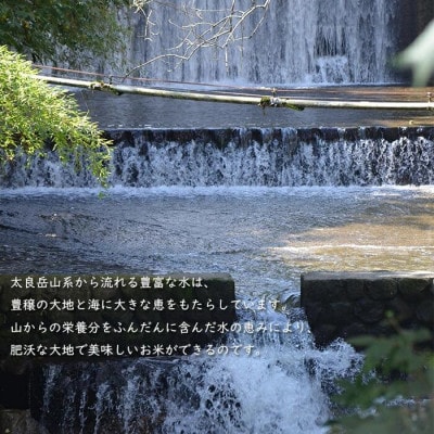 【令和7年産】佐賀県産 さがびより 白米 27kg(30kgの玄米を精米した重量)