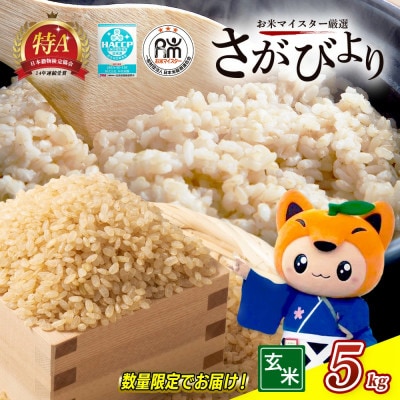 新米【令和7年産】佐賀県産 さがびより 玄米 5kg