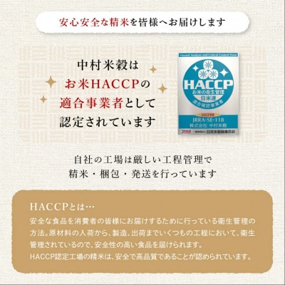新米【令和7年産】佐賀県産 夢しずく 白米 10kg
