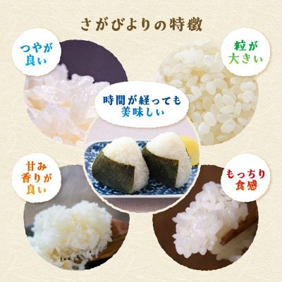 【毎月定期便】佐賀県産 さがびより 玄米 5kg全3回